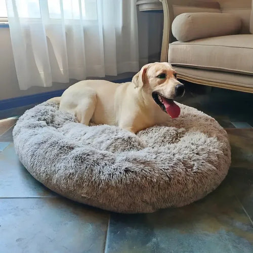 Cama antiestrés para mascotas 🛏️🐶